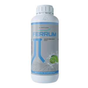 Ferrum