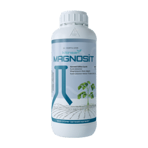 Magnosit